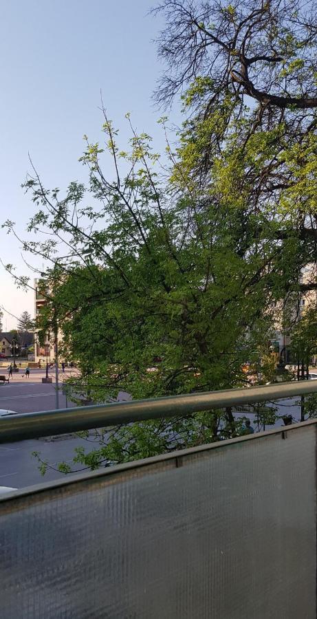 Citys Apartment Апатин Екстериор снимка